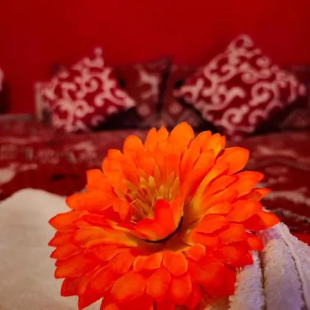 Ca Dei Fiori 1 Venezia Bed & Breakfast 2*